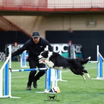 Novice & International Courses of the Week