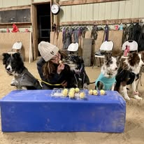 Handler Seminars